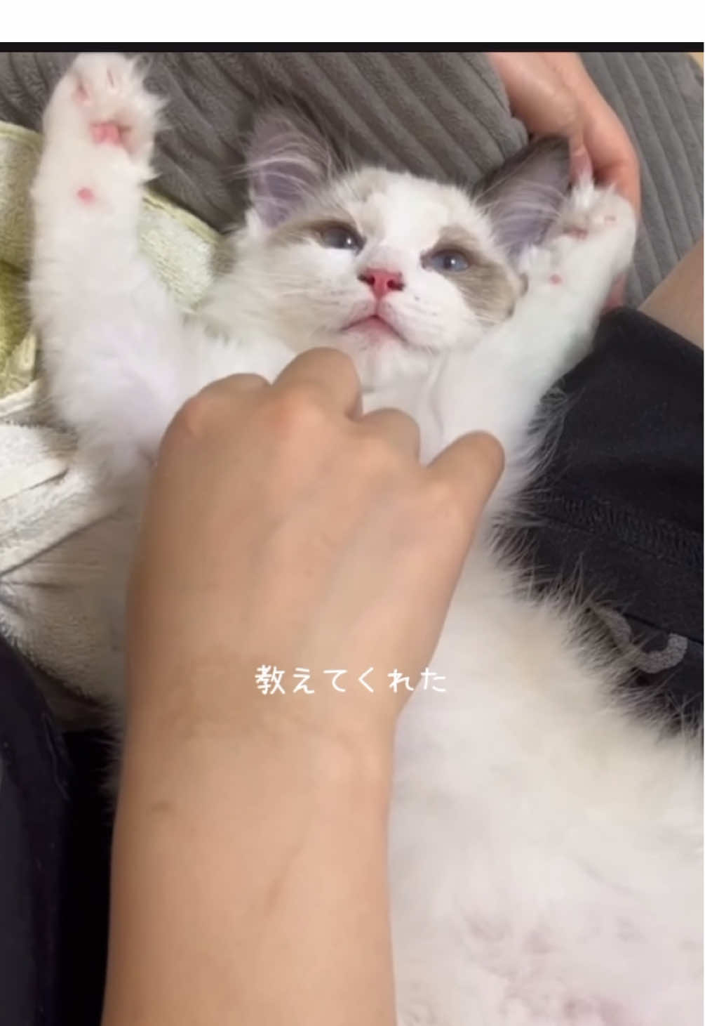@︎ ︎ ︎ ︎ ︎ ︎ ︎ ︎ ︎ ︎ ︎ ︎ ︎ ︎ ︎