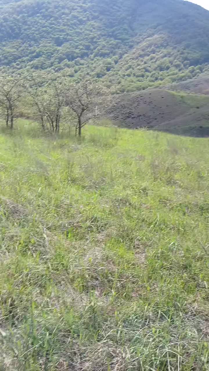 @VETERAN  041