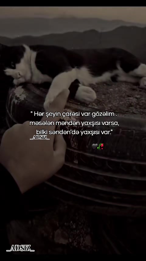 @_ADSIZ_