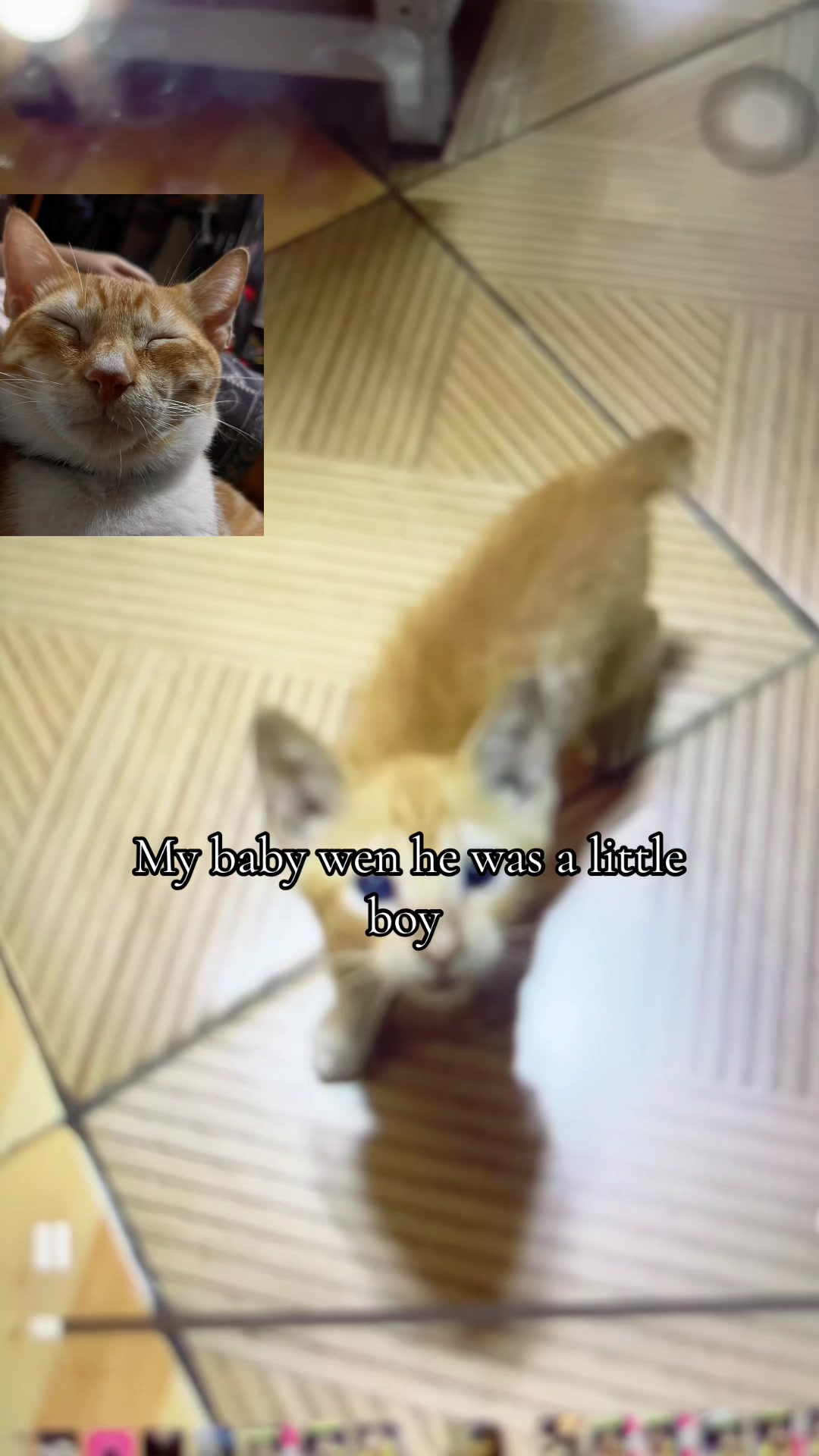 @🛒🪬Hanbheby🪬🛒
