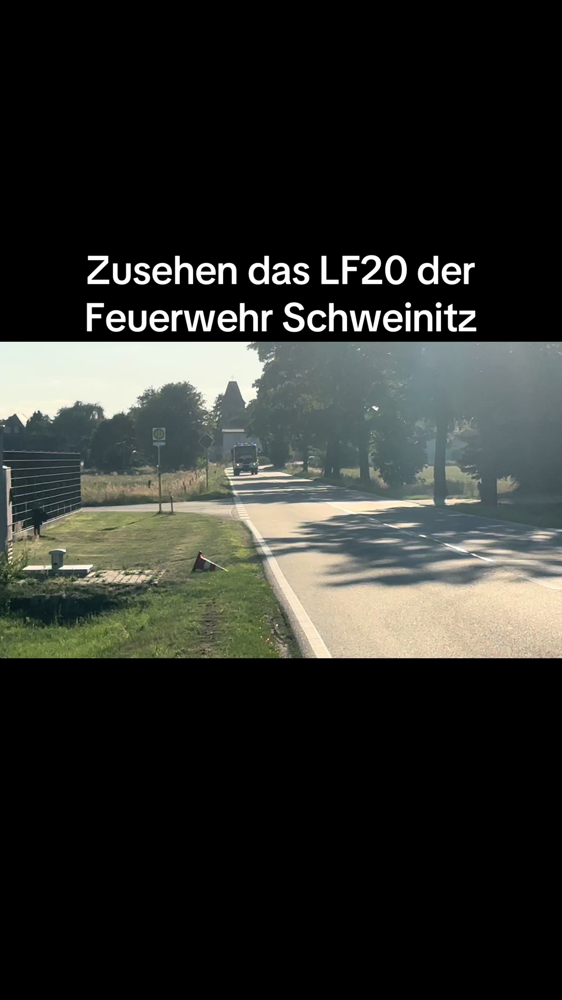 @bluelight_rlp