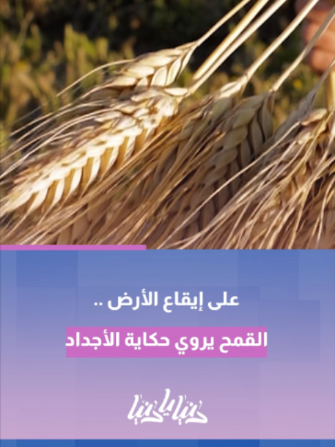 @Royapalestine رؤيا فلسطين