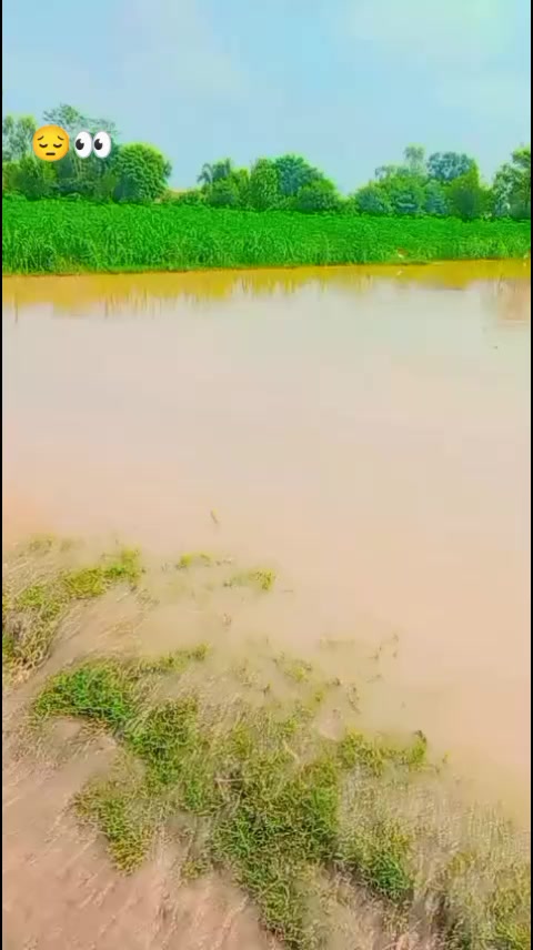 @🔥شکاری چدھڑ 🥷