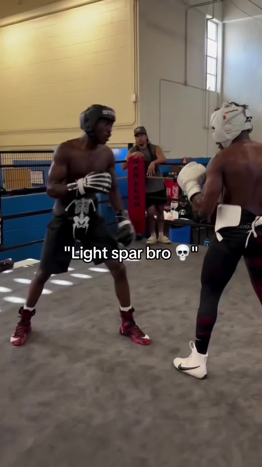 @fivestarboxing