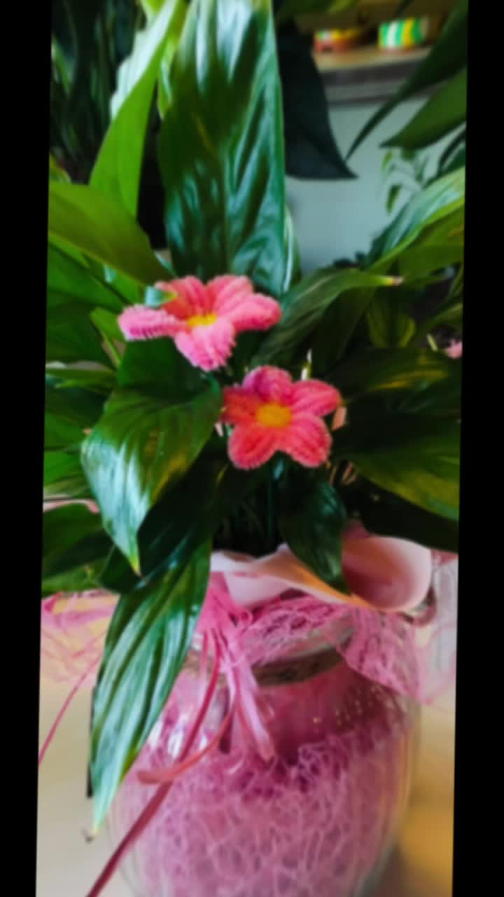 @GiadaPr