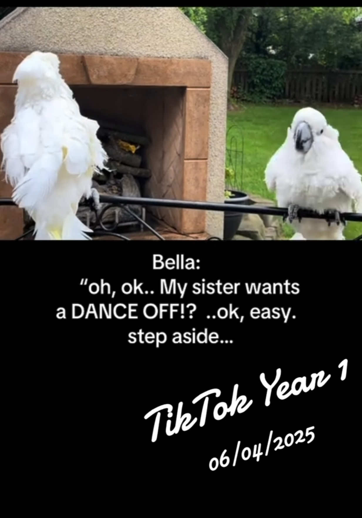 @bella_trixie_official