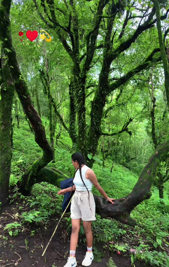 @Magarni☘️
