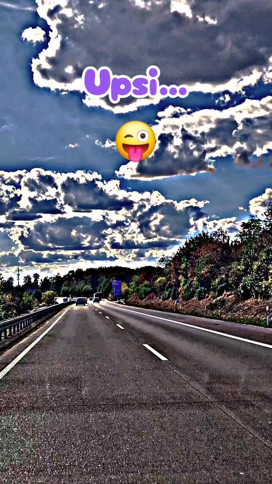 @༺𝑪oco_No1 Thurid's Pitbull®༻