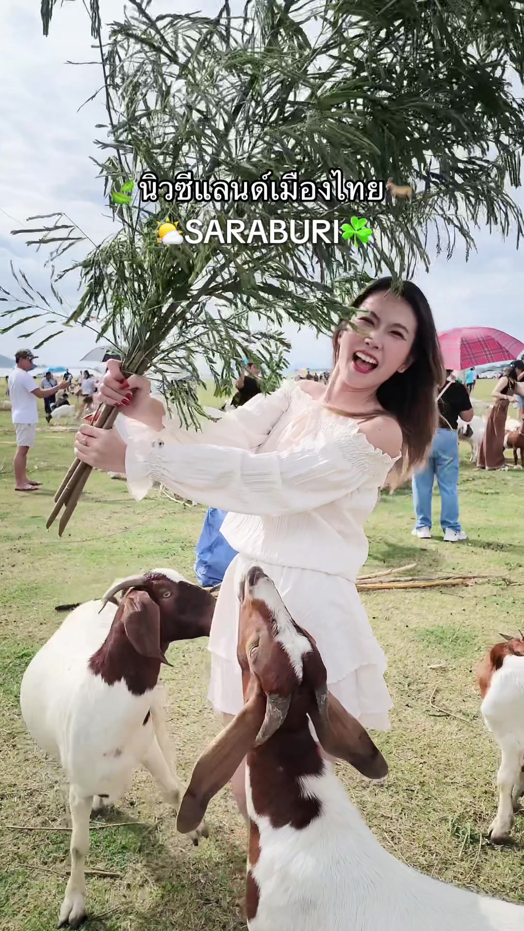 @มุกกิทั่วทีปทั่วแดน