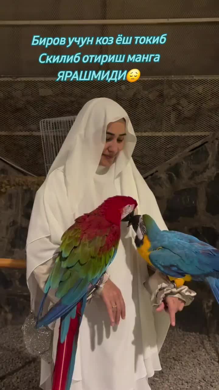 @🫰❤️❤️ ДИЛЯ КАРАЛЕВА 🫰❤️❤️