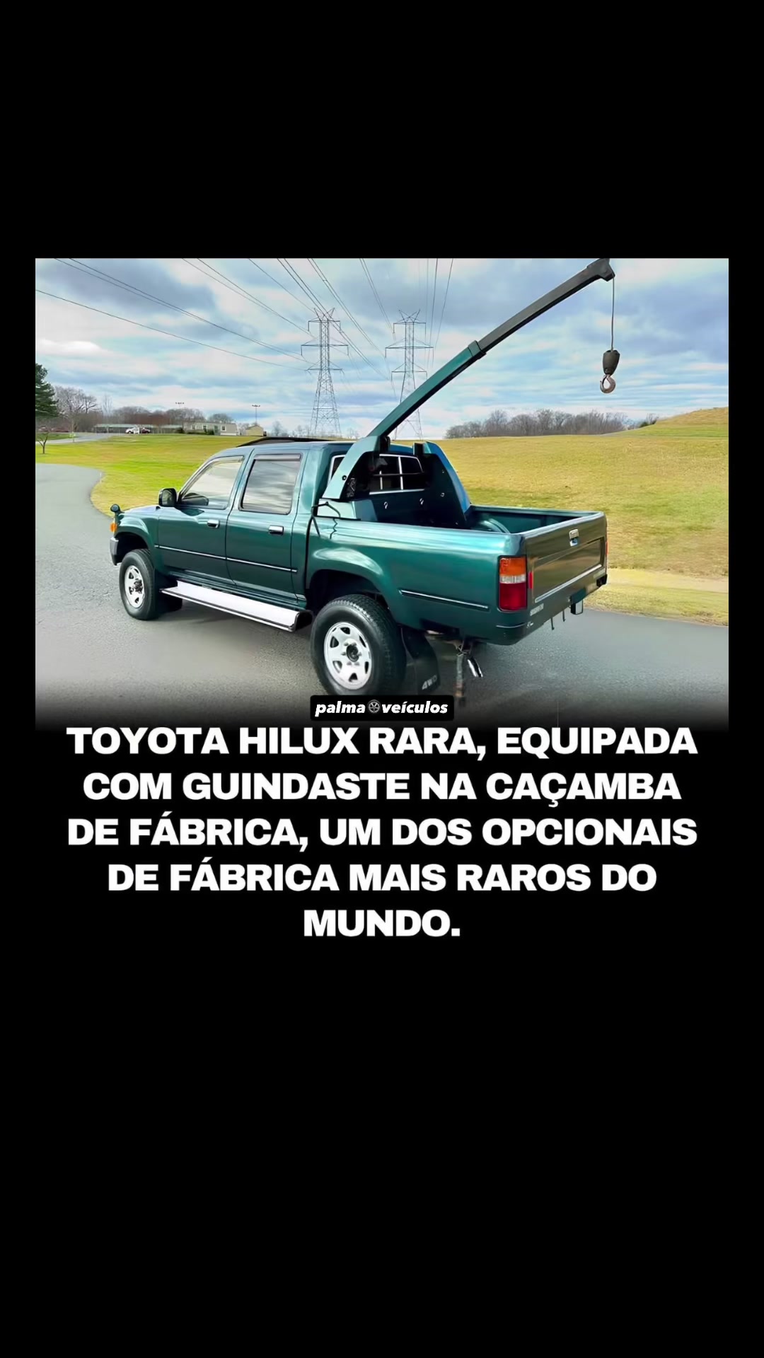 @palmaveiculos