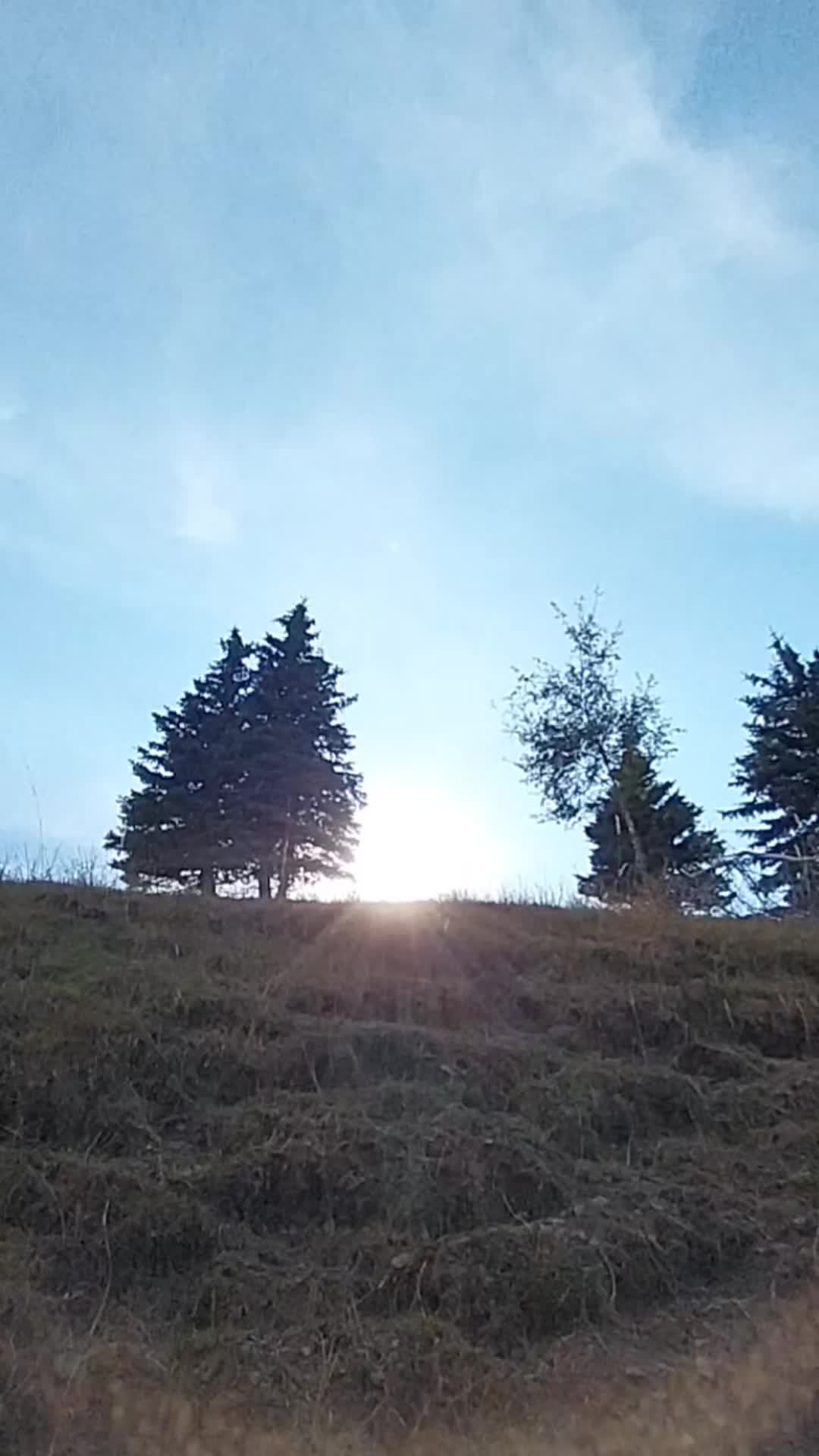 @wolfthebest