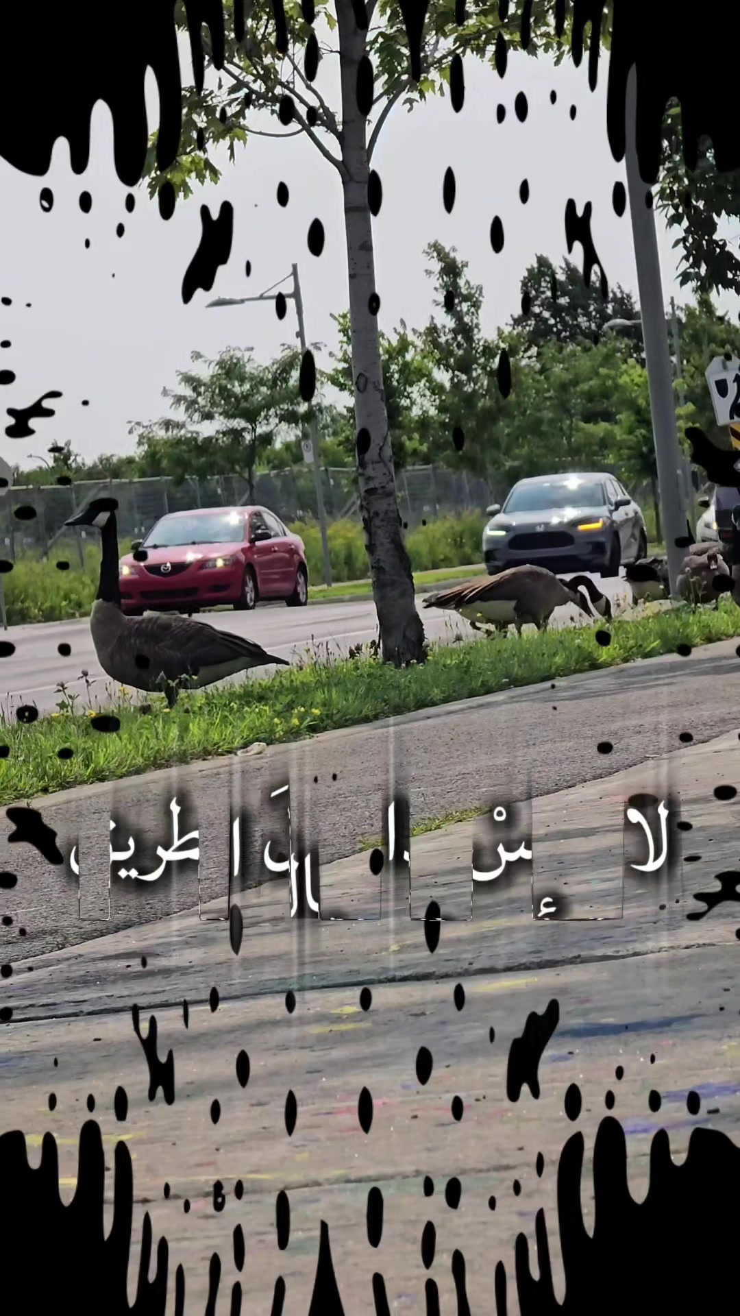 @🇫 🇦 🇷 🇪 🇸