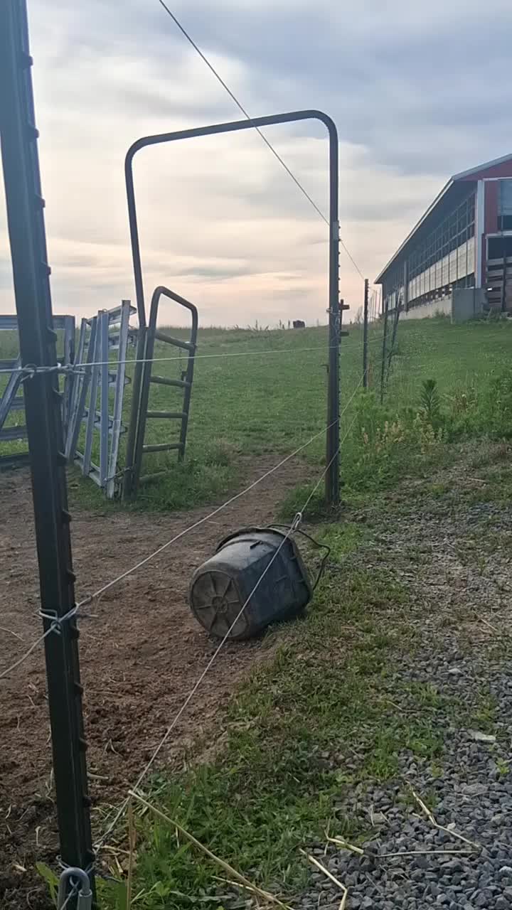 @Taylor | Sah{farm}m