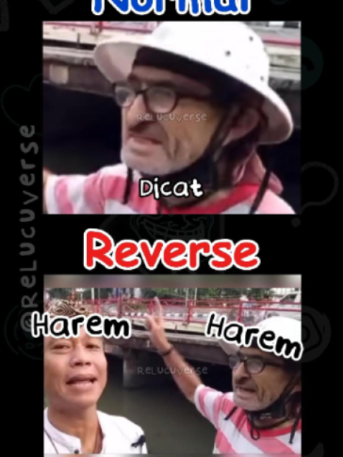 @ReLucuVerse