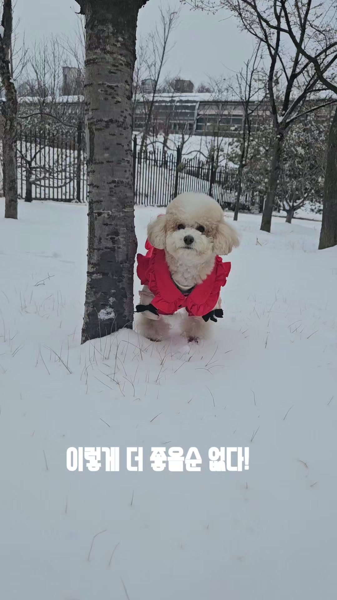 @예쁜라떼