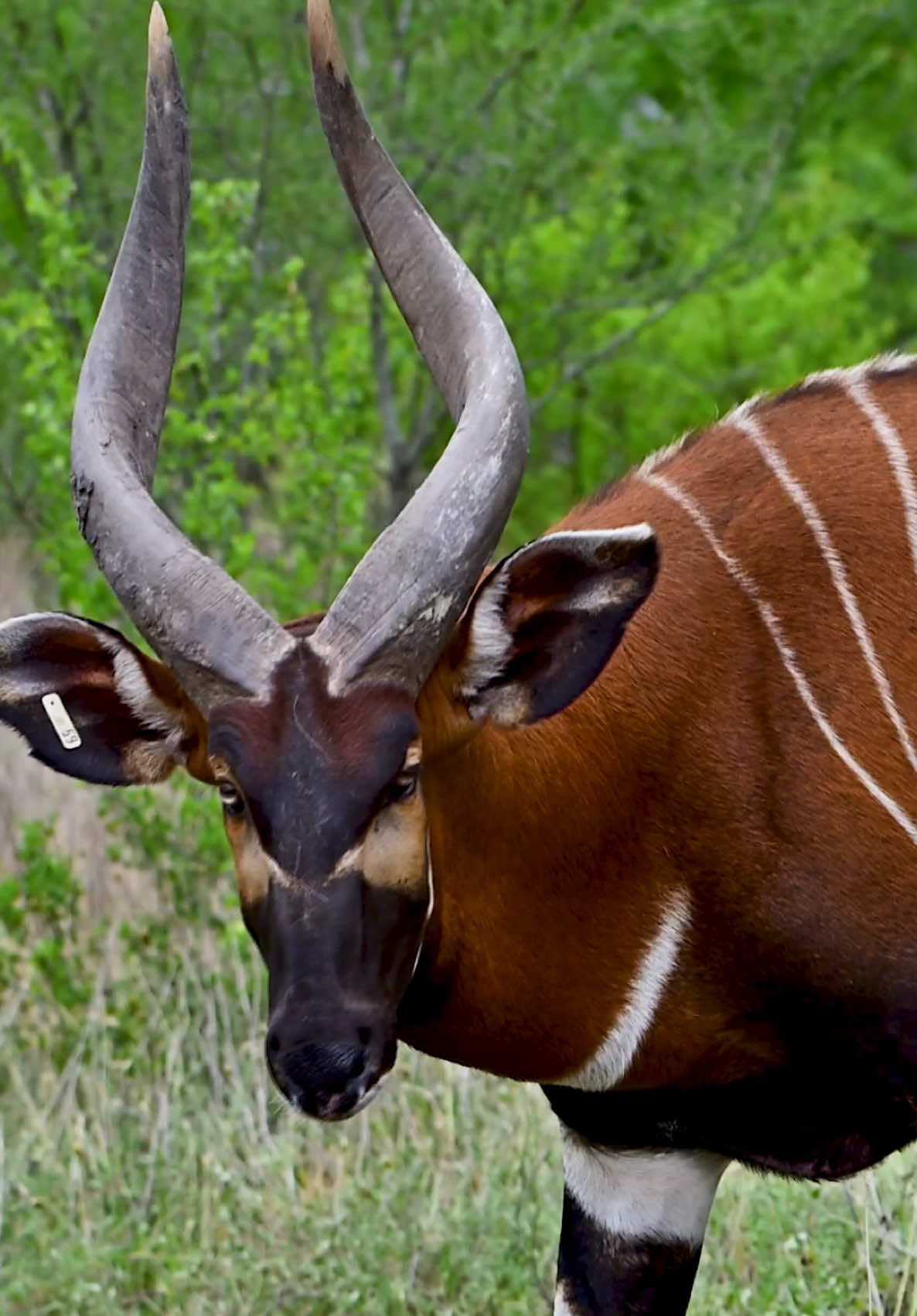 @WildLife Partners
