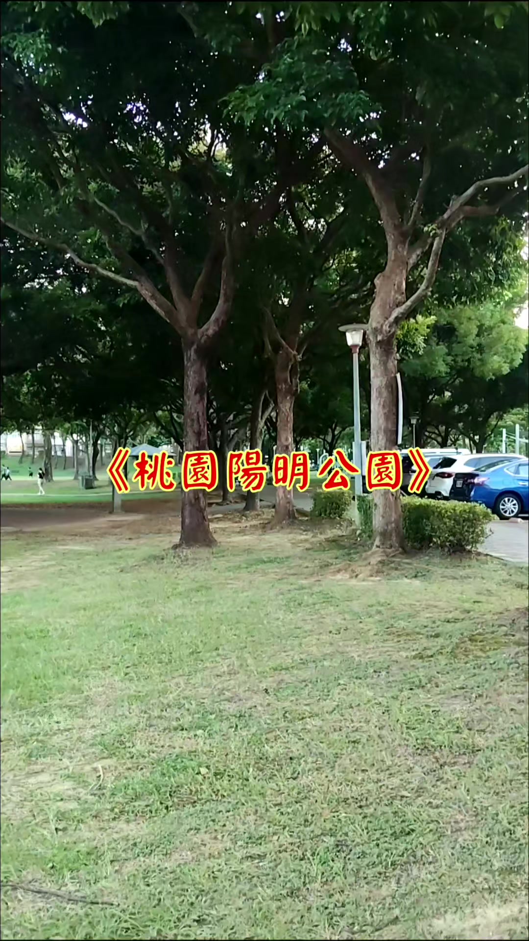 @雞不叫也天亮