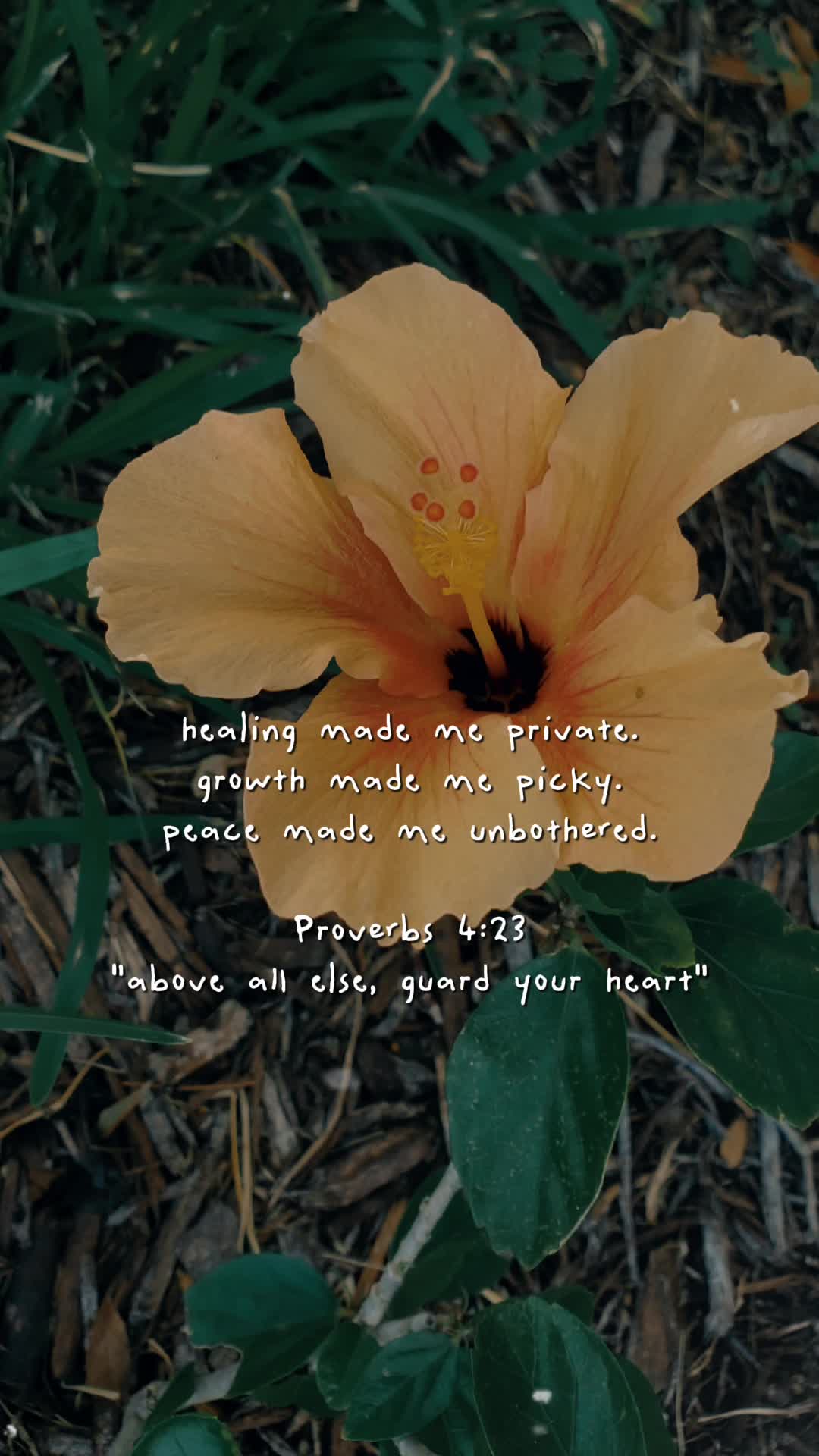 @CrayzHottie✝️🌻❤️