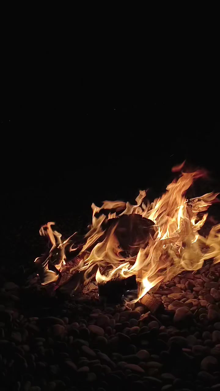 @Veysi Asağ65