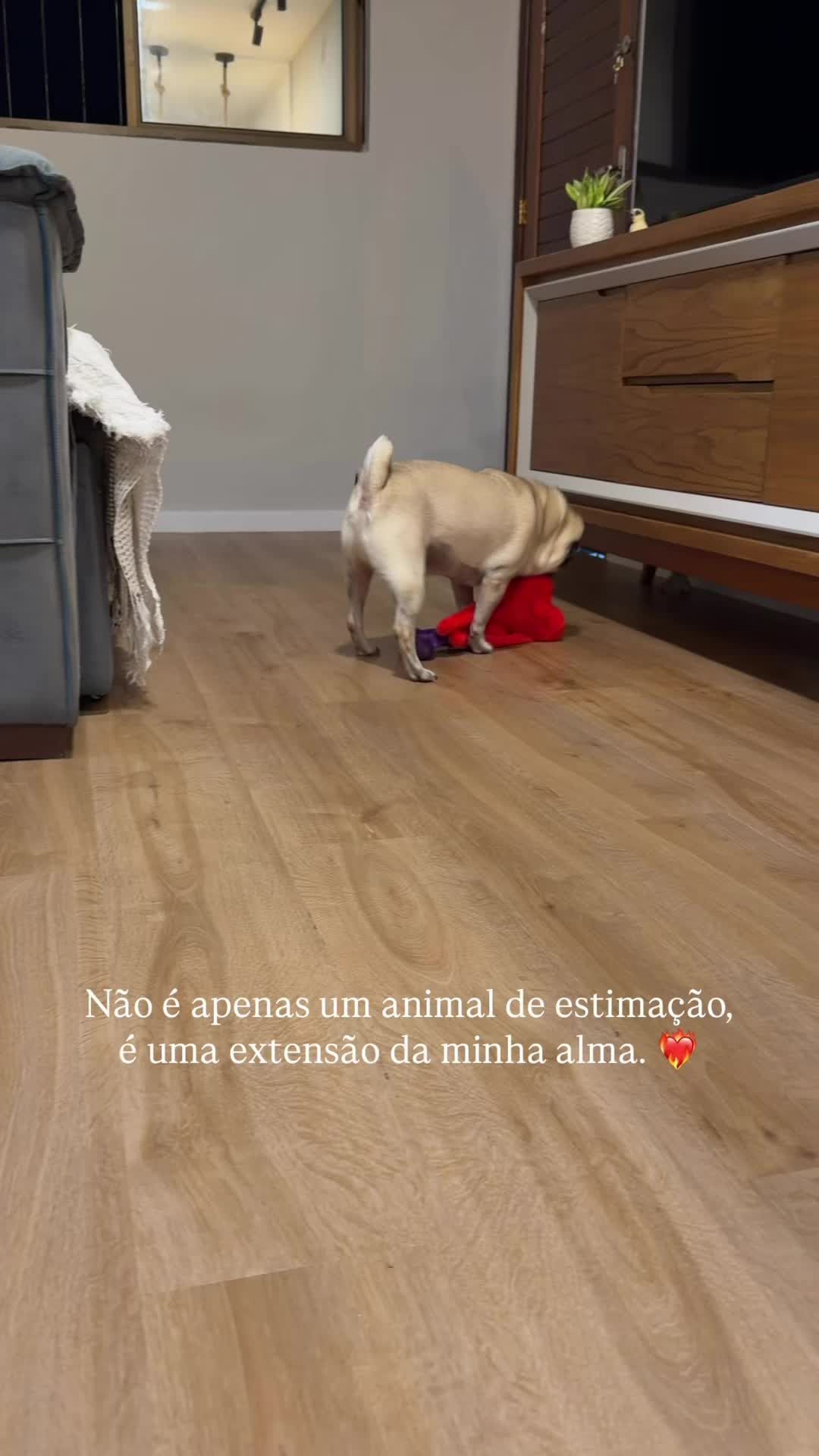 @FRANKINHO