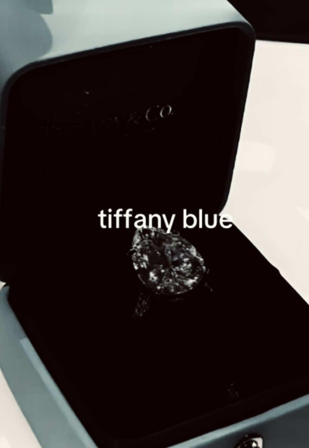 @trendy dynasty
