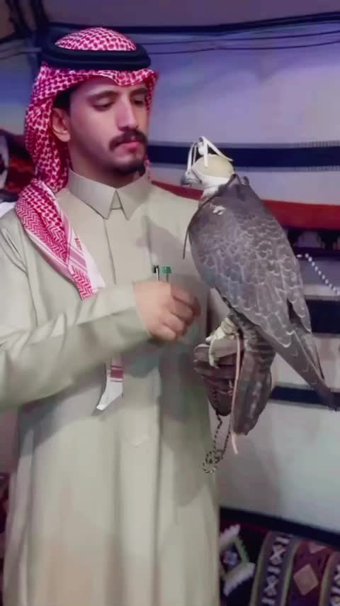 @﮼نآيف ﮼بن ﮼نآصر