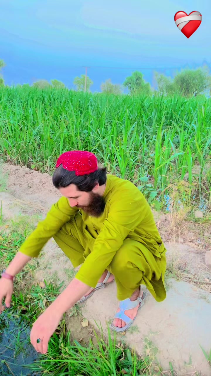 @👑Arsalan Tofan👑