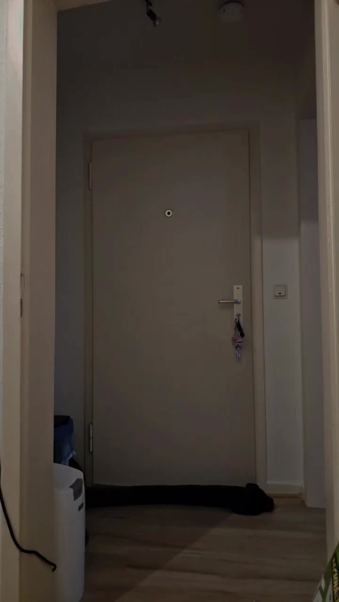 @🐈⬛🦦민니/할리🦦🐈⬛