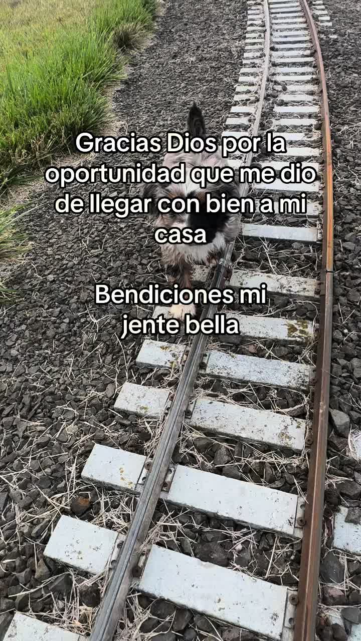 @⚜️🍓🪗pablocarbajal63🪗🍓⚜️