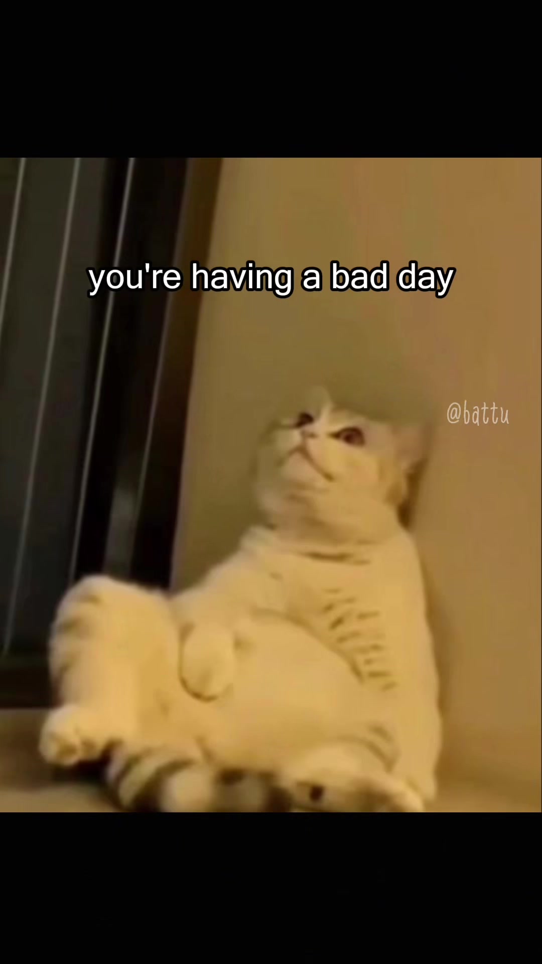 @Battu