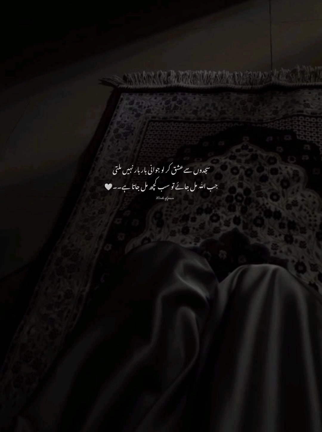 @قلم کی نمی🥀