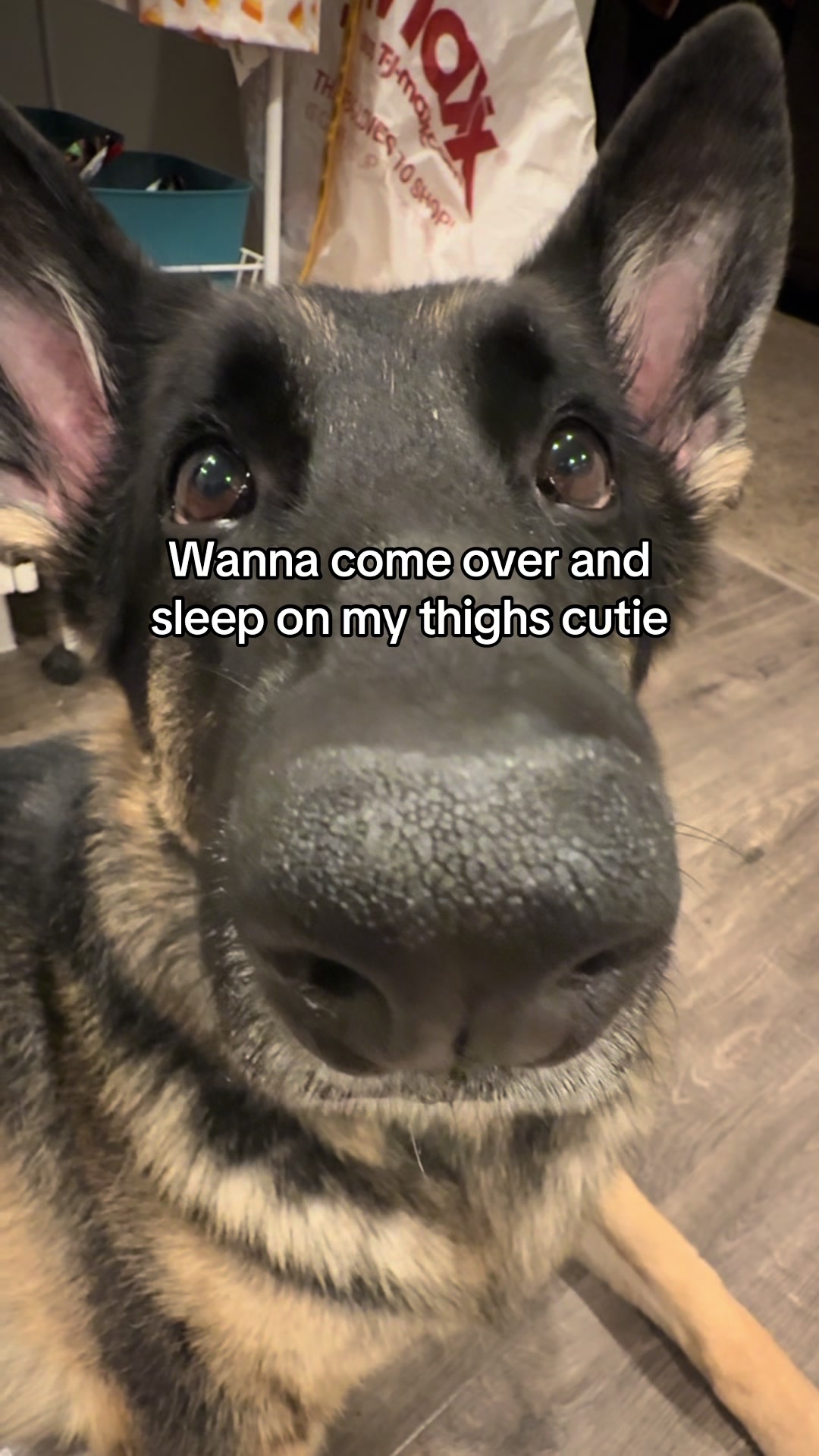 @Bhris