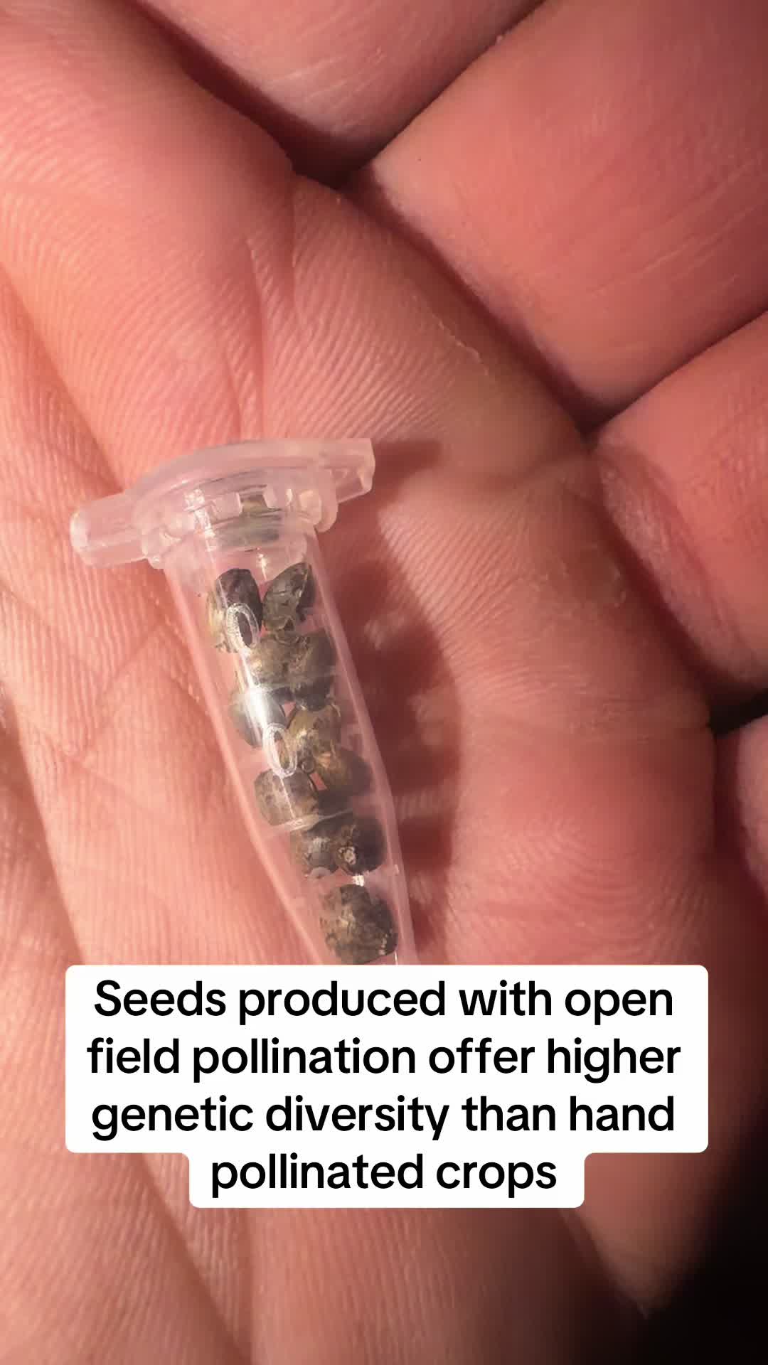 @SEEDTIVA