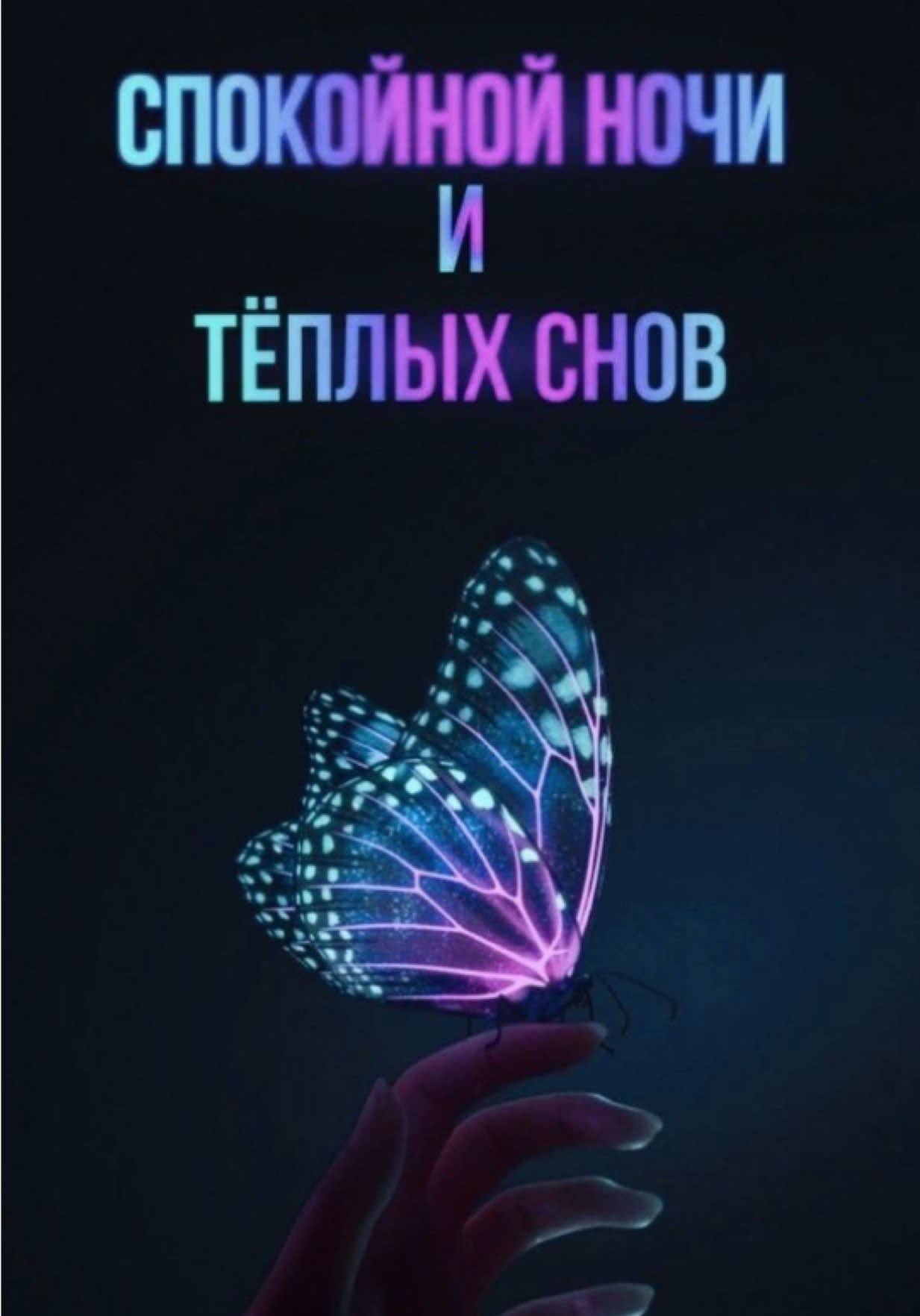 @111chao777