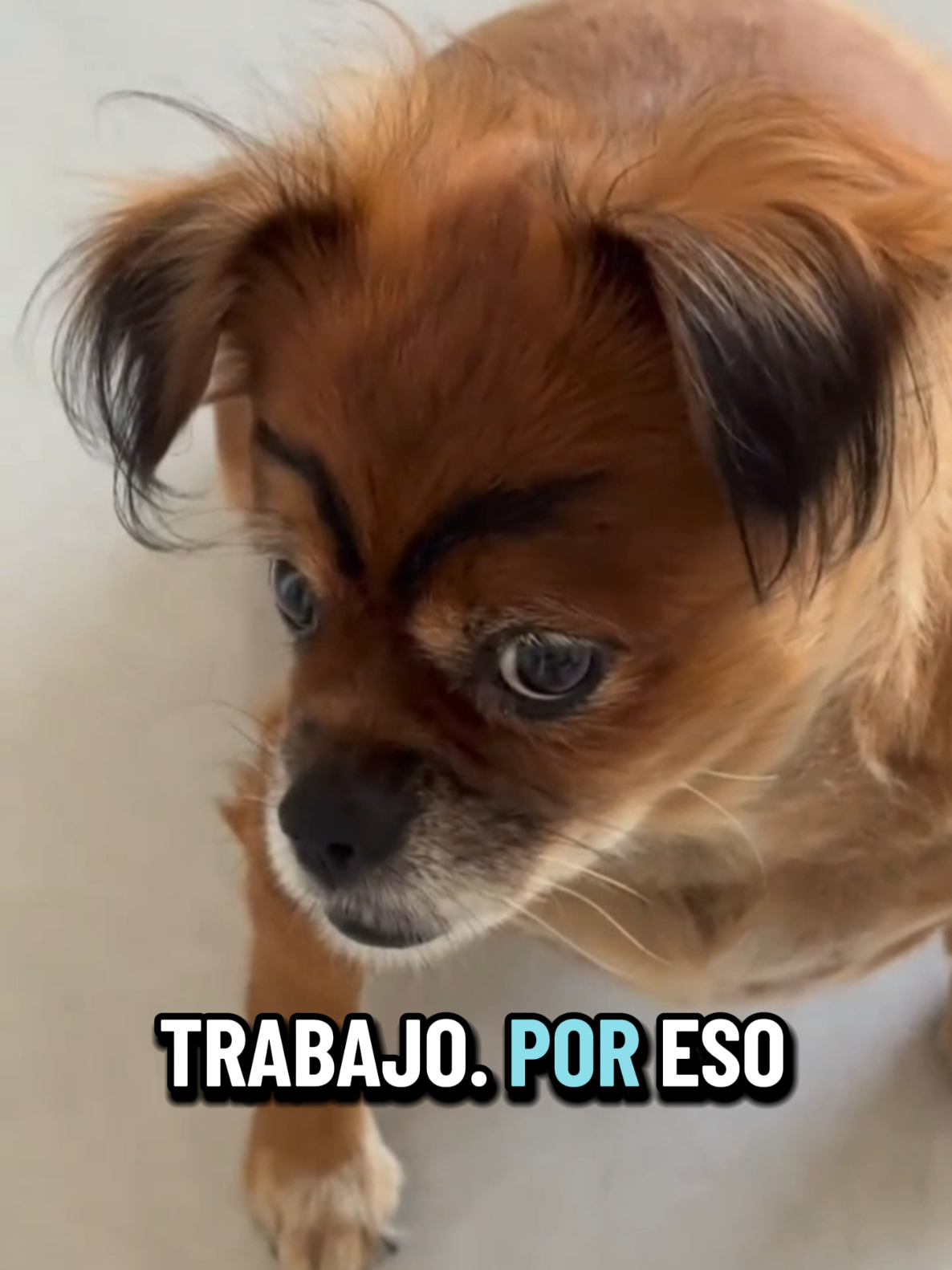 @Omar Vargas