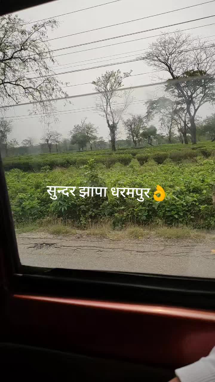 @sarmilathapa251