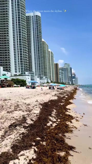 @nika.miami