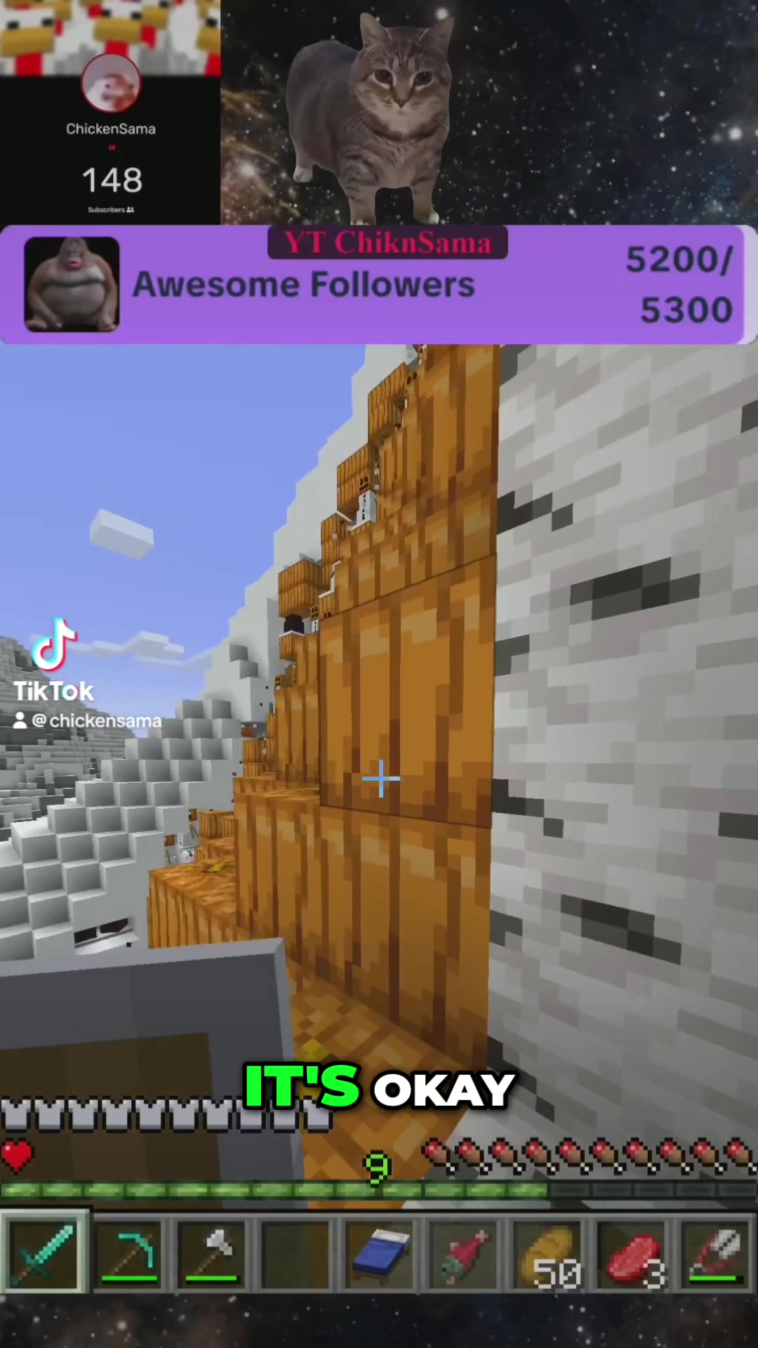 @ChickenSama