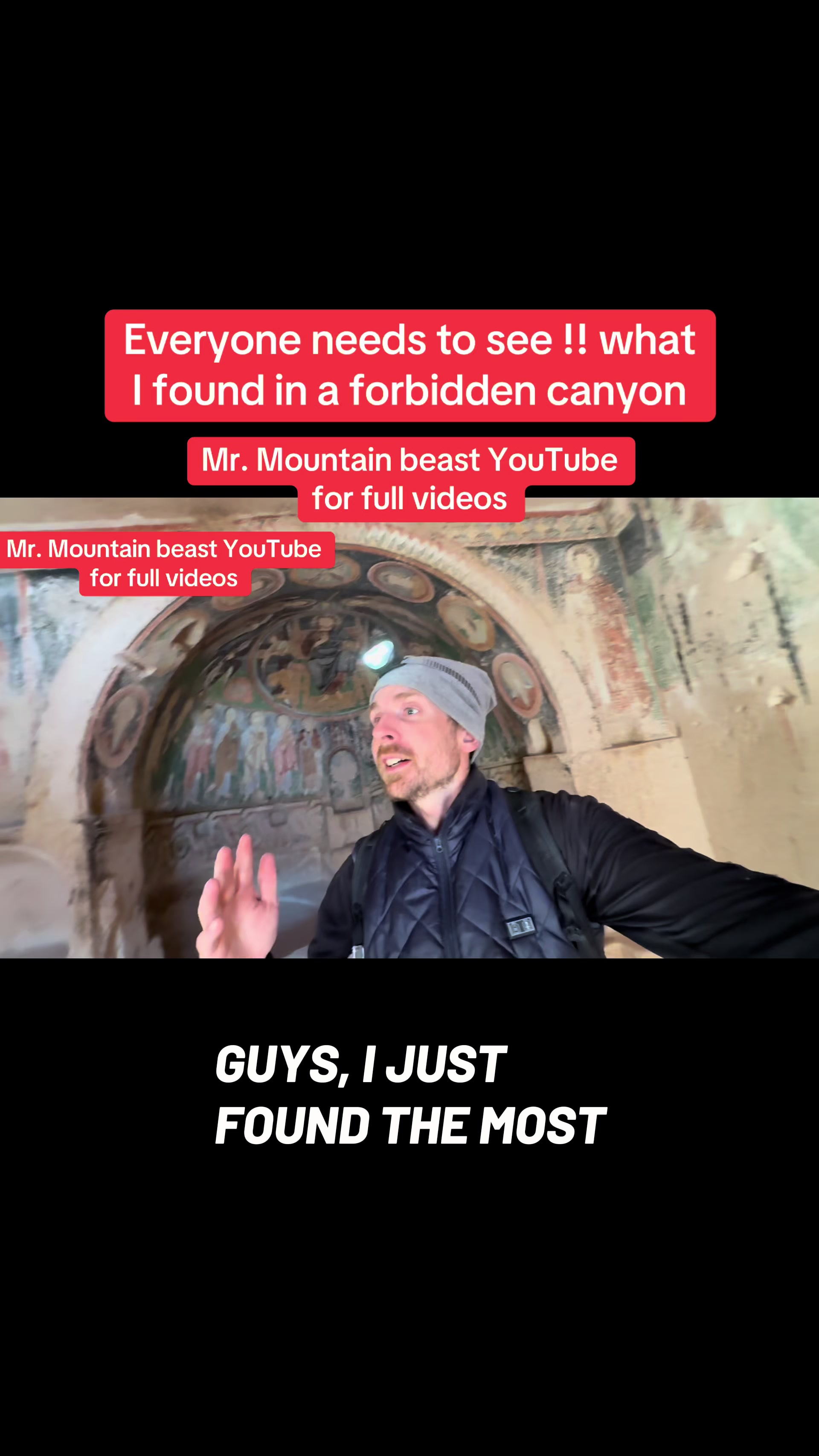 @Mr.mountainbeast