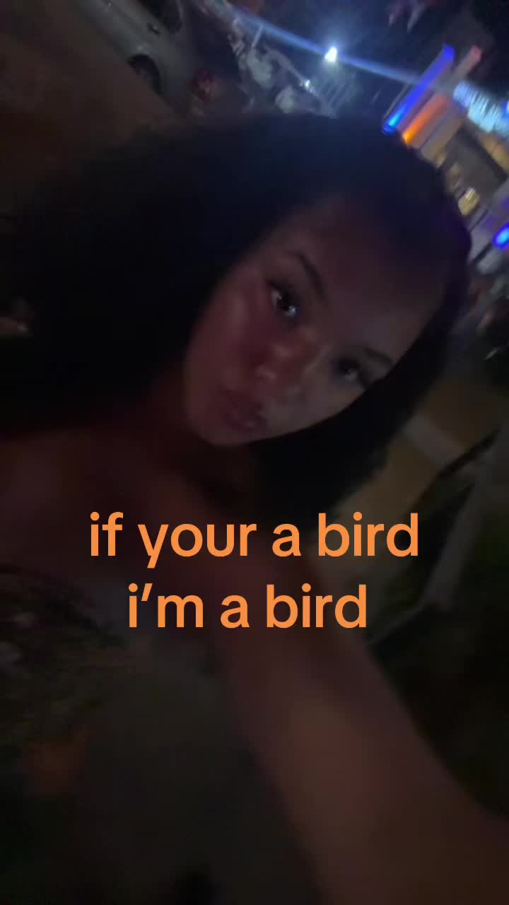 @shaimonroe
