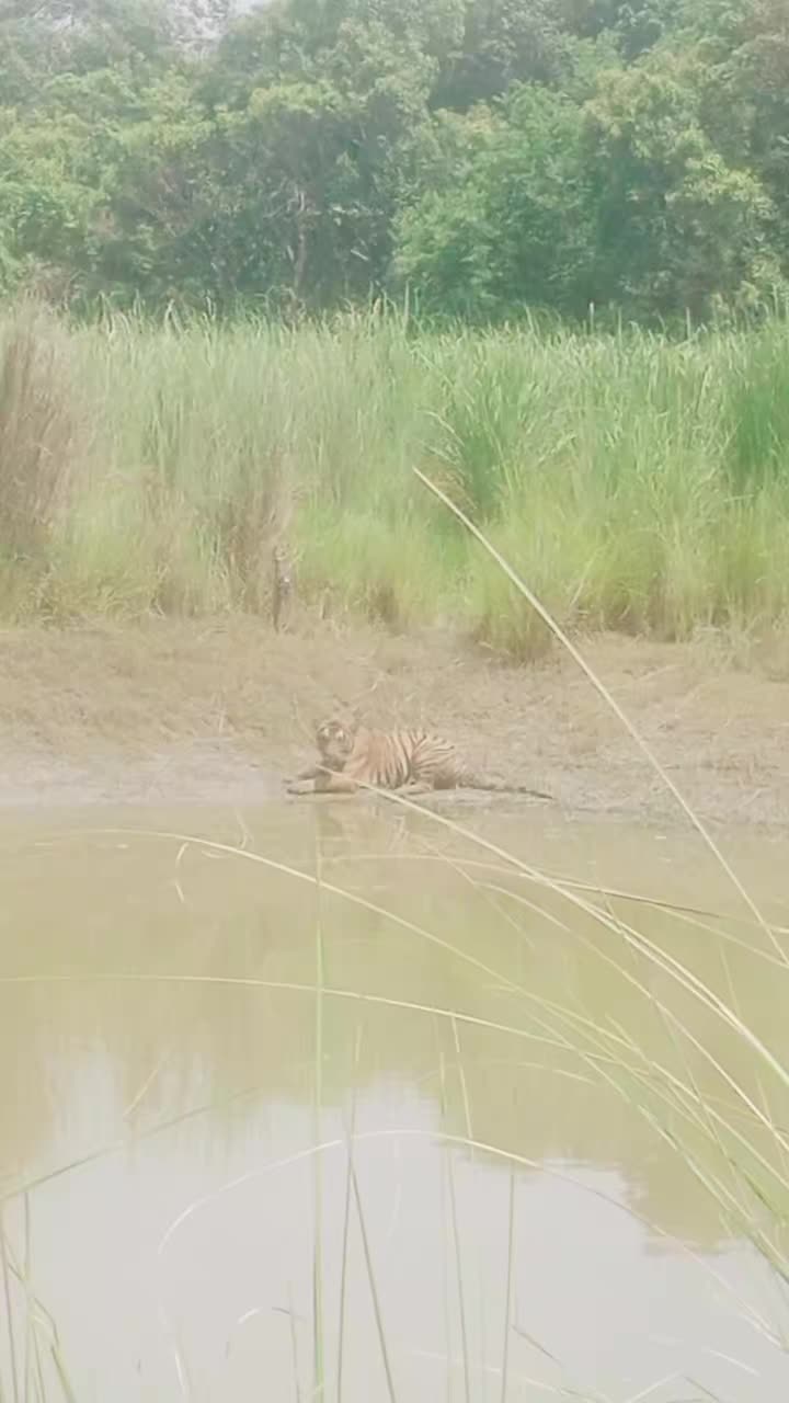 @बन मनैं😜/Wild Wanderer