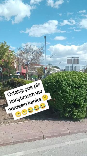 @🦂 GÜNEŞ 🦂