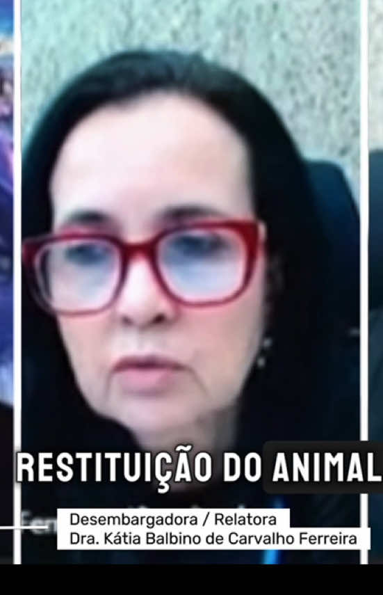 @Elisabete Silva