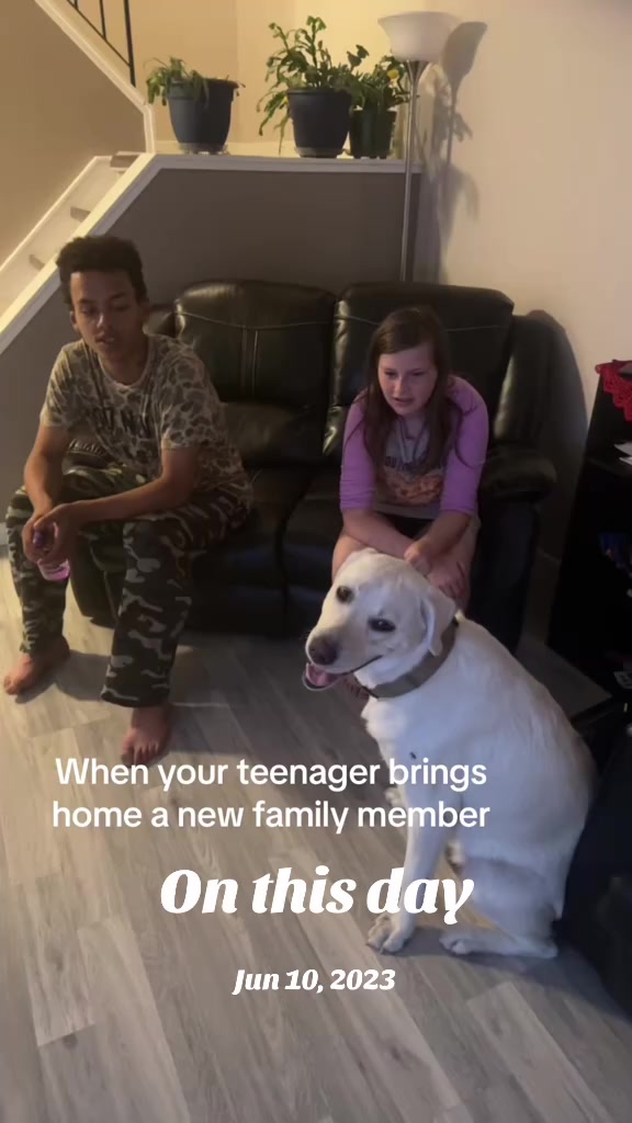 @Katrina 🌈🏳️&zwj;🌈