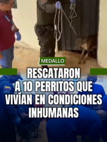 @MINUTO30