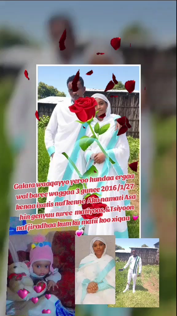 @masi hadhaa Tsiyoon
