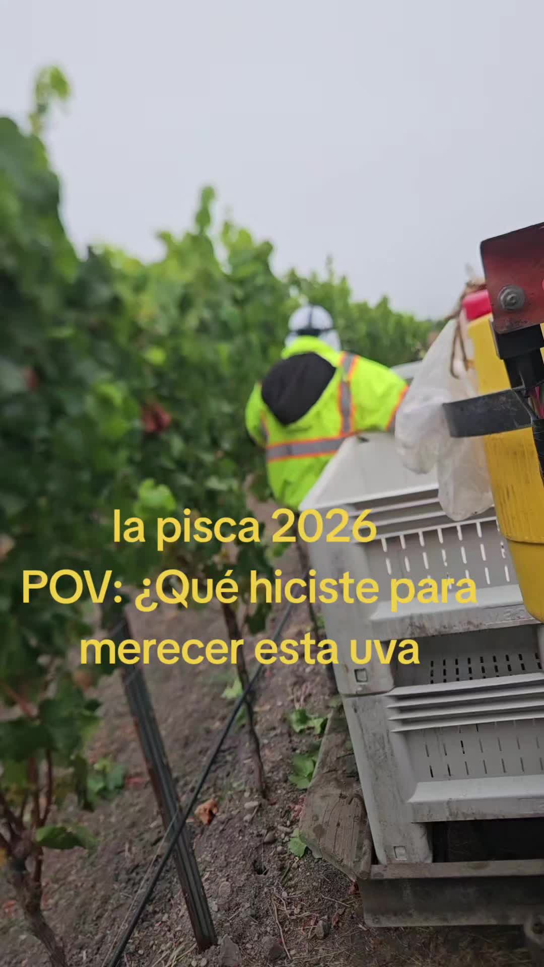 @alvarezcat