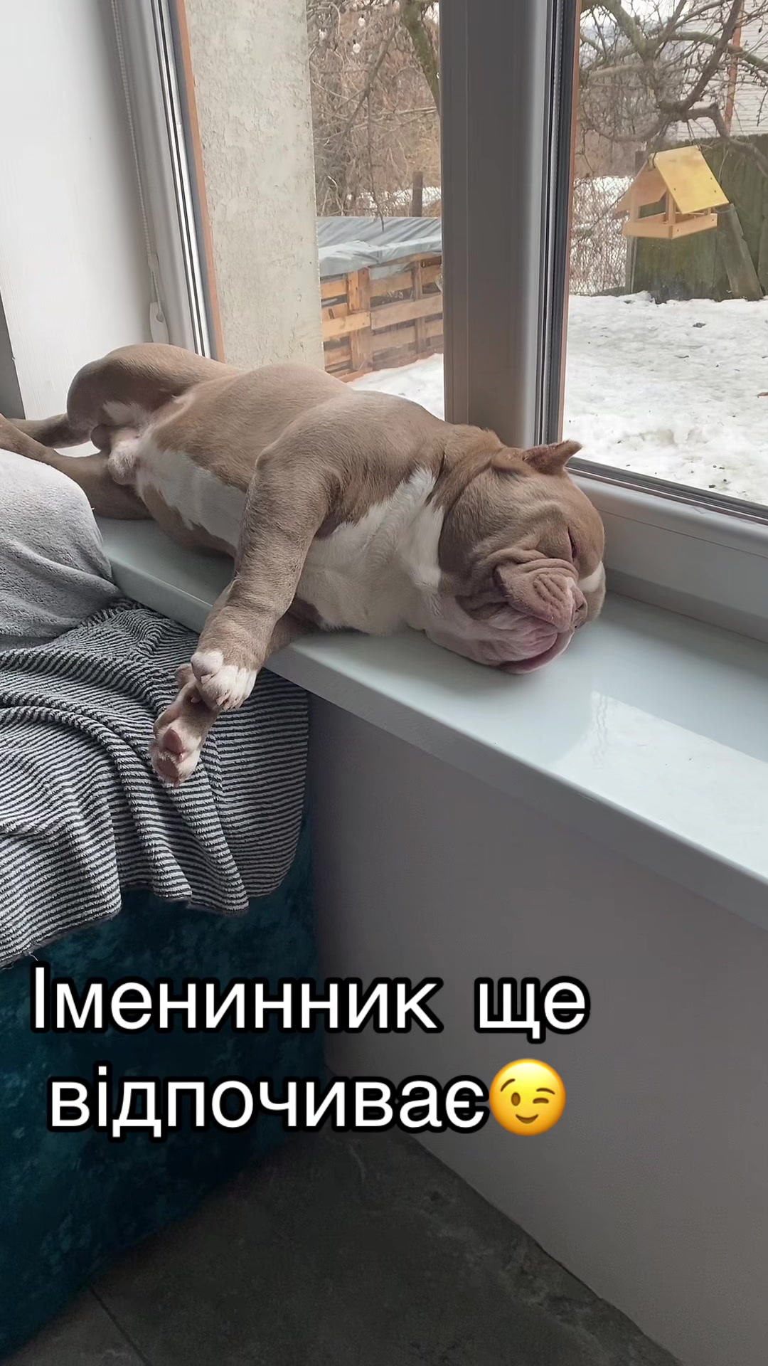 @Gre4anka