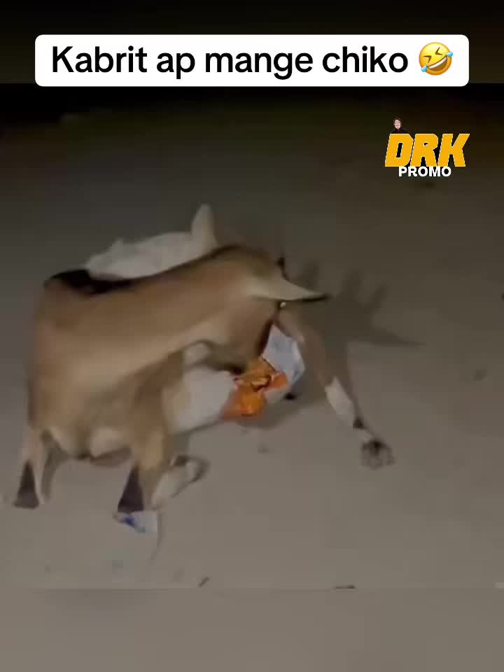 @𝗗𝗥𝗞 𝗣𝗥𝗢𝗠𝗢